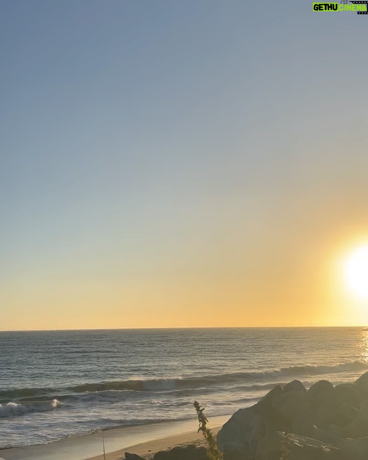 Presley Ryan Instagram - pure bliss 🐳 Malibu, California