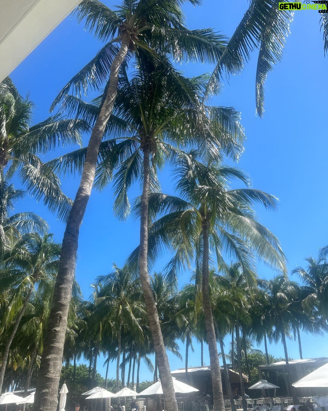 Presley Ryan Instagram - this weekend Miami, Florida