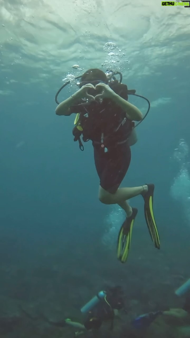 Priyamvada Kant Instagram - Sharing my mini visit to Heaven 🫶 #bestfeeling #scubadiving #lifechanging 🌊 🐢 🤿