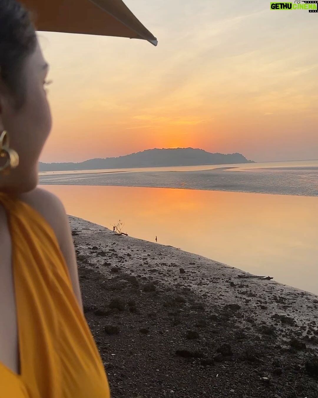 Priyamvada Kant Instagram - Golden sunsets 🍊 . .
