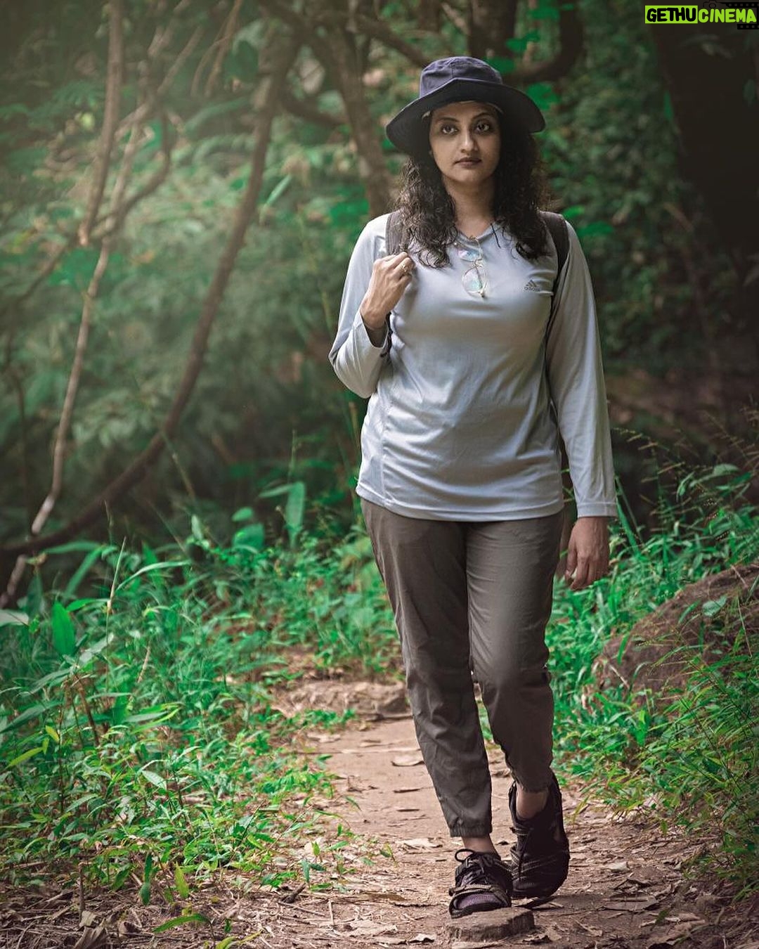 Priyanka Nair Instagram - Amongst the trees, finding solace in nature's whispers. 🌿 #ForestDreams #intothewoods #priyankanair