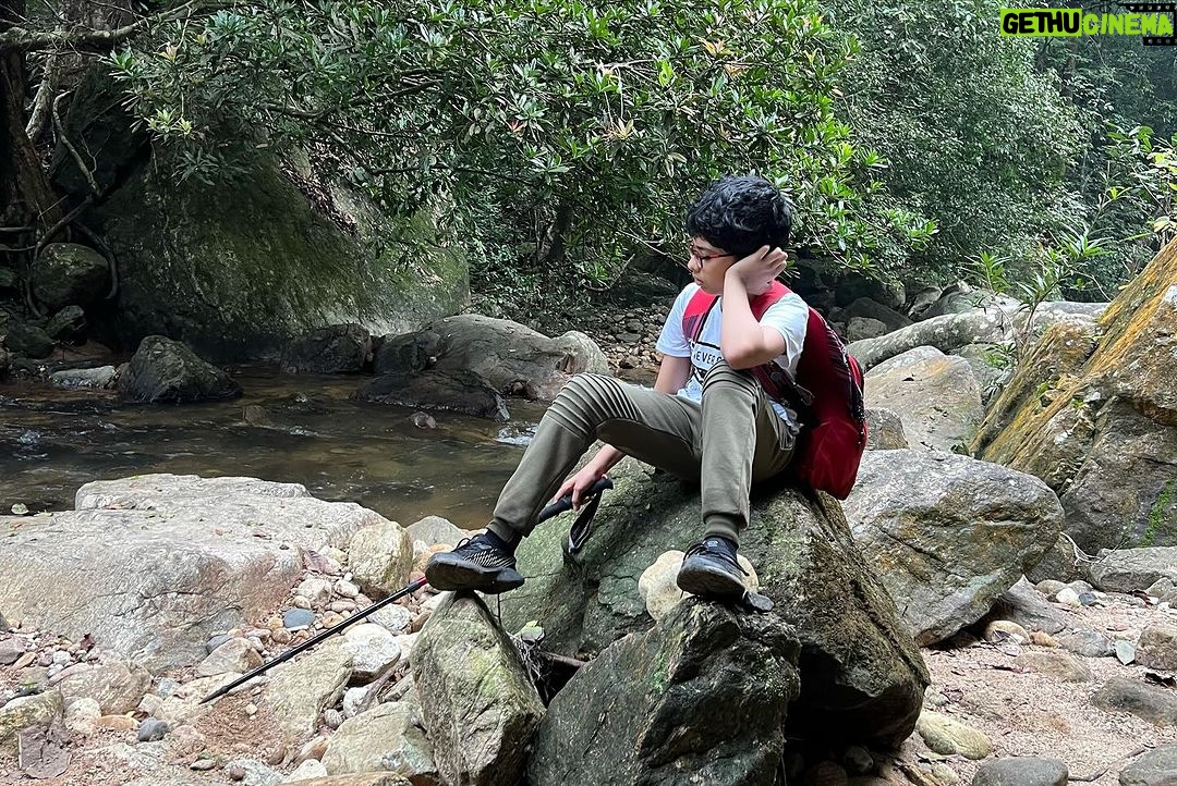 Priyanka Nair Instagram - Lost in the enchanting embrace of the forest 🌲✨ #NatureMagic #IntoTheWoods #priyankanair