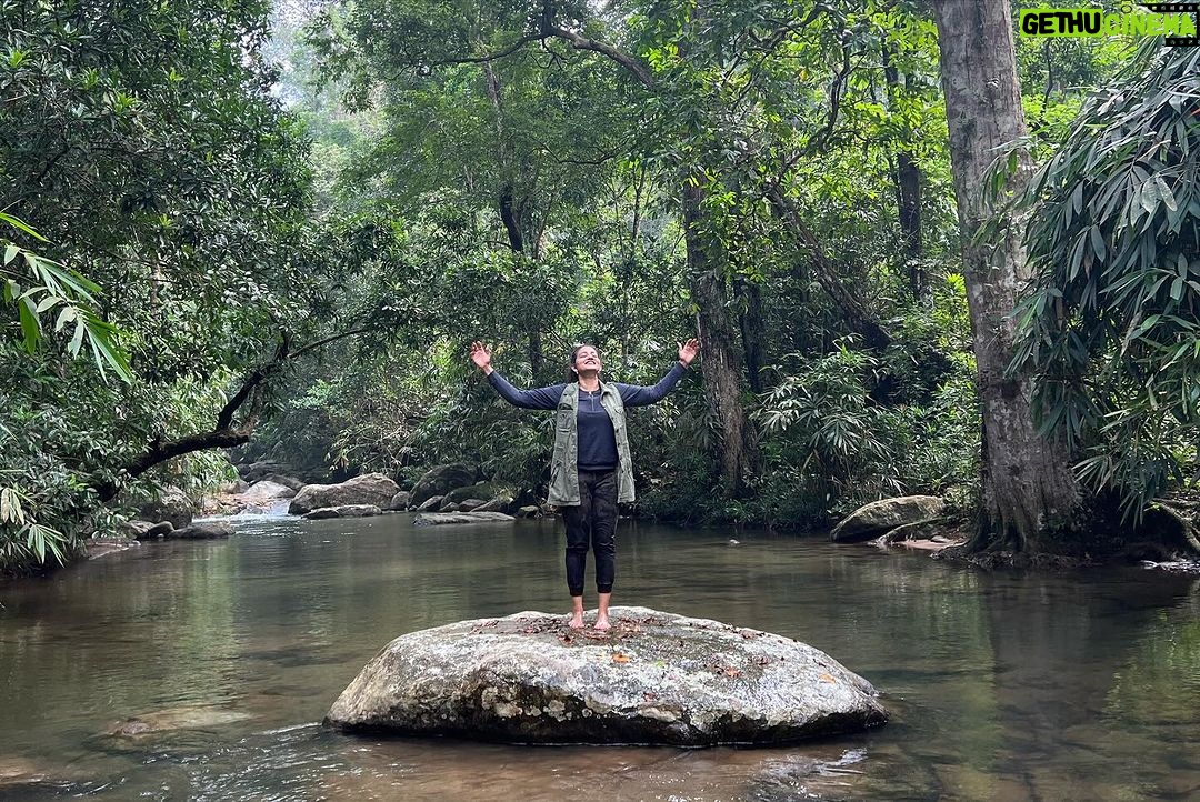 Priyanka Nair Instagram - Lost in the enchanting embrace of the forest 🌲✨ #NatureMagic #IntoTheWoods #priyankanair