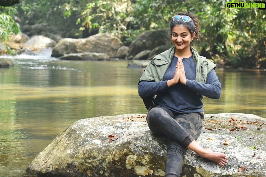 Priyanka Nair Instagram - Lost in the enchanting embrace of the forest 🌲✨ #NatureMagic #IntoTheWoods #priyankanair