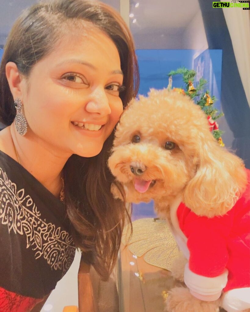 Priyanka Nalkari Instagram - #christmasattire #pet #love #littlesanta #cutewe #smiles #positivity #festivemood #selfietime #xmastree #poodle #santa #lastmonthoftheyear #december #instamood #malaysia #kl