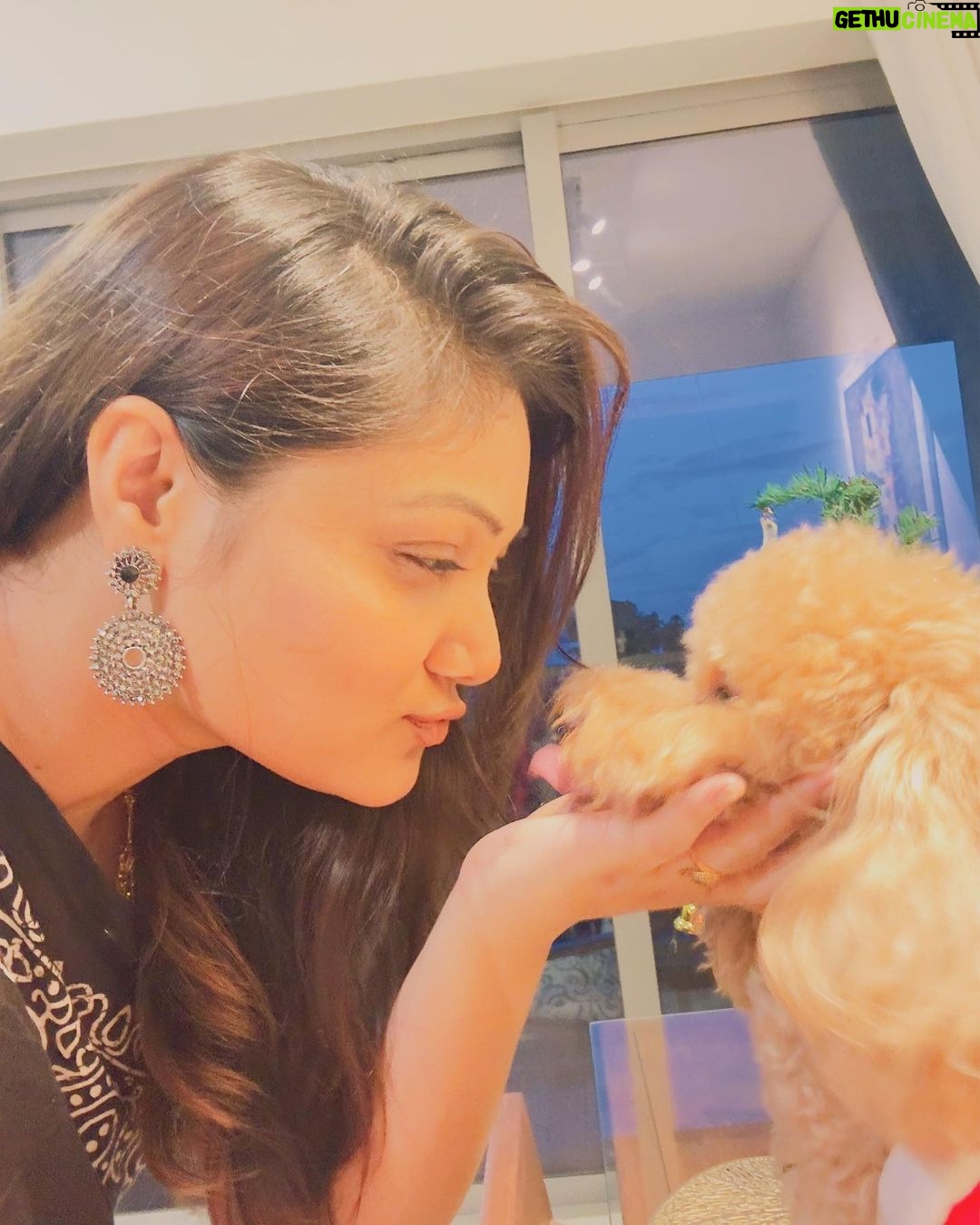 Priyanka Nalkari Instagram - #christmasattire #pet #love #littlesanta #cutewe #smiles #positivity #festivemood #selfietime #xmastree #poodle #santa #lastmonthoftheyear #december #instamood #malaysia #kl