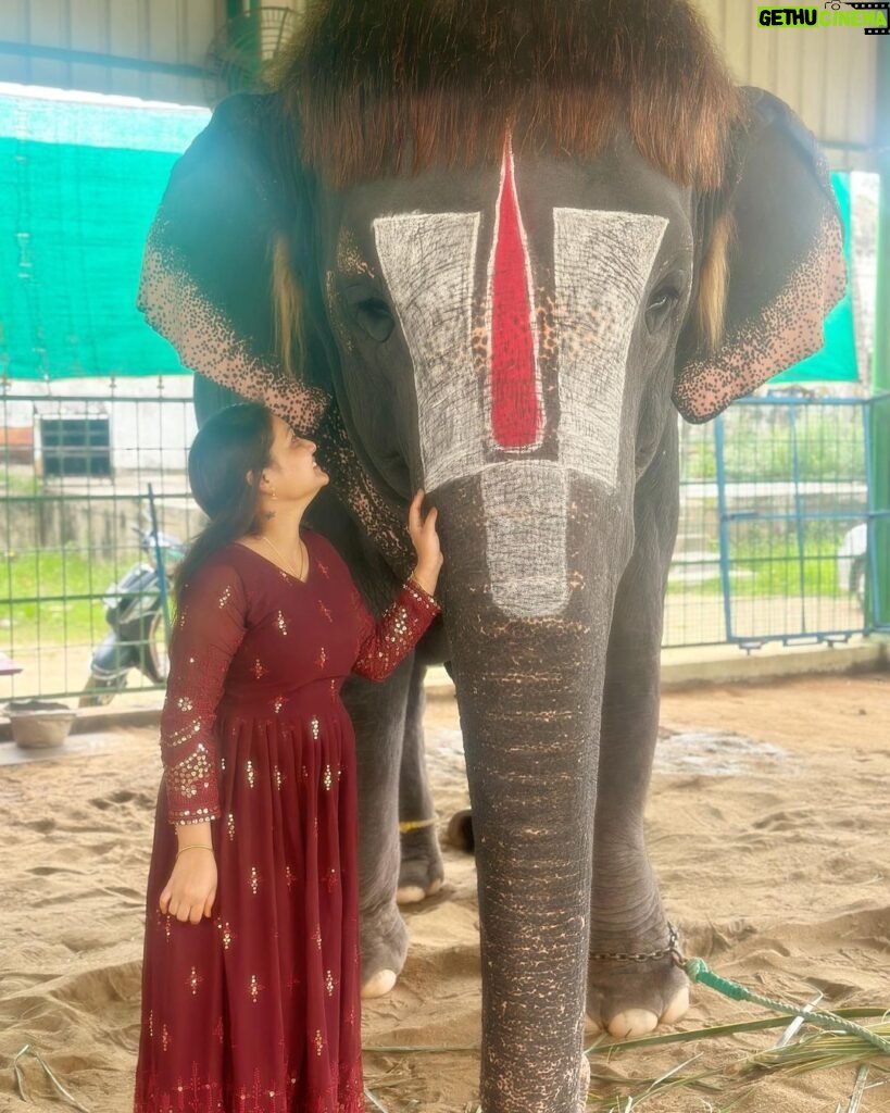 Priyanka Nalkari Instagram - #babycuttingsingamalai #elephantlove #mylovetowardselephant #temple #manargudi #positivevibes #tamilnadu #happyme #sengamalam🐘 Outfit @srisai_13 ❤