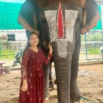 Priyanka Nalkari Instagram – #babycuttingsingamalai #elephantlove #mylovetowardselephant #temple #manargudi #positivevibes #tamilnadu #happyme #sengamalam🐘
Outfit @srisai_13 ❤️