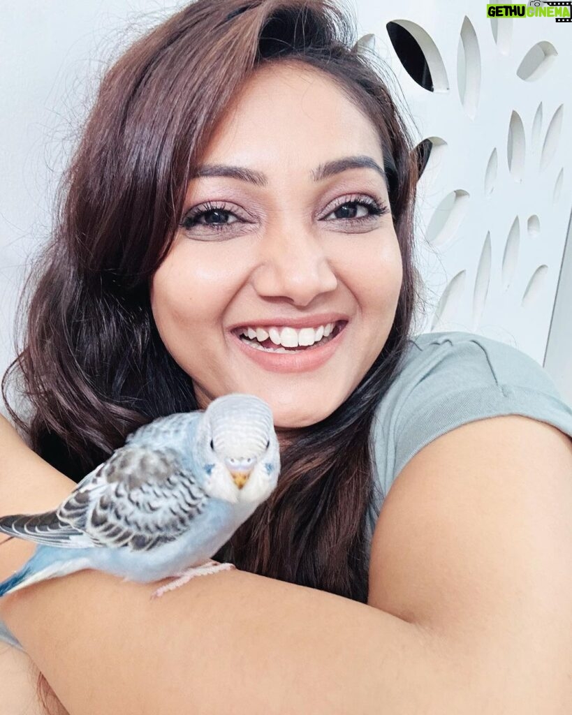 Priyanka Nalkari Instagram - #hisnameram #bird #birdlovers #newguest #sweethome #priyanka #nalkarpriyanka #peace #happygirl #chennai #instagood #instagram #instadaily