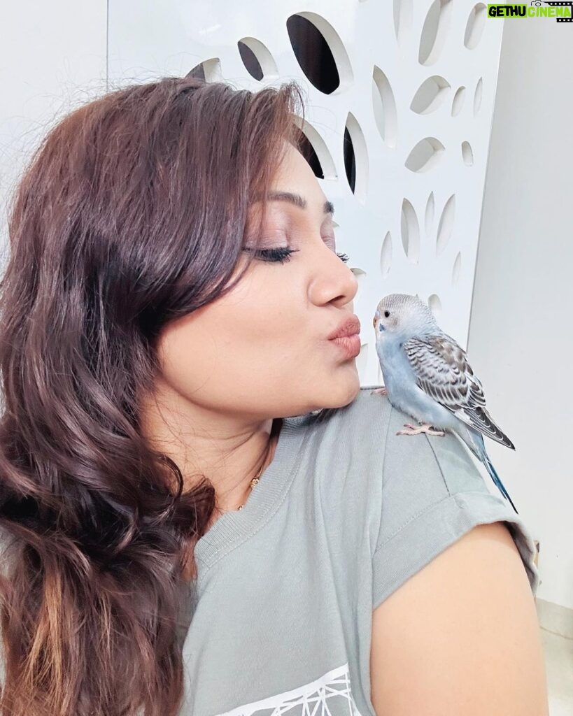 Priyanka Nalkari Instagram - #hisnameram #bird #birdlovers #newguest #sweethome #priyanka #nalkarpriyanka #peace #happygirl #chennai #instagood #instagram #instadaily