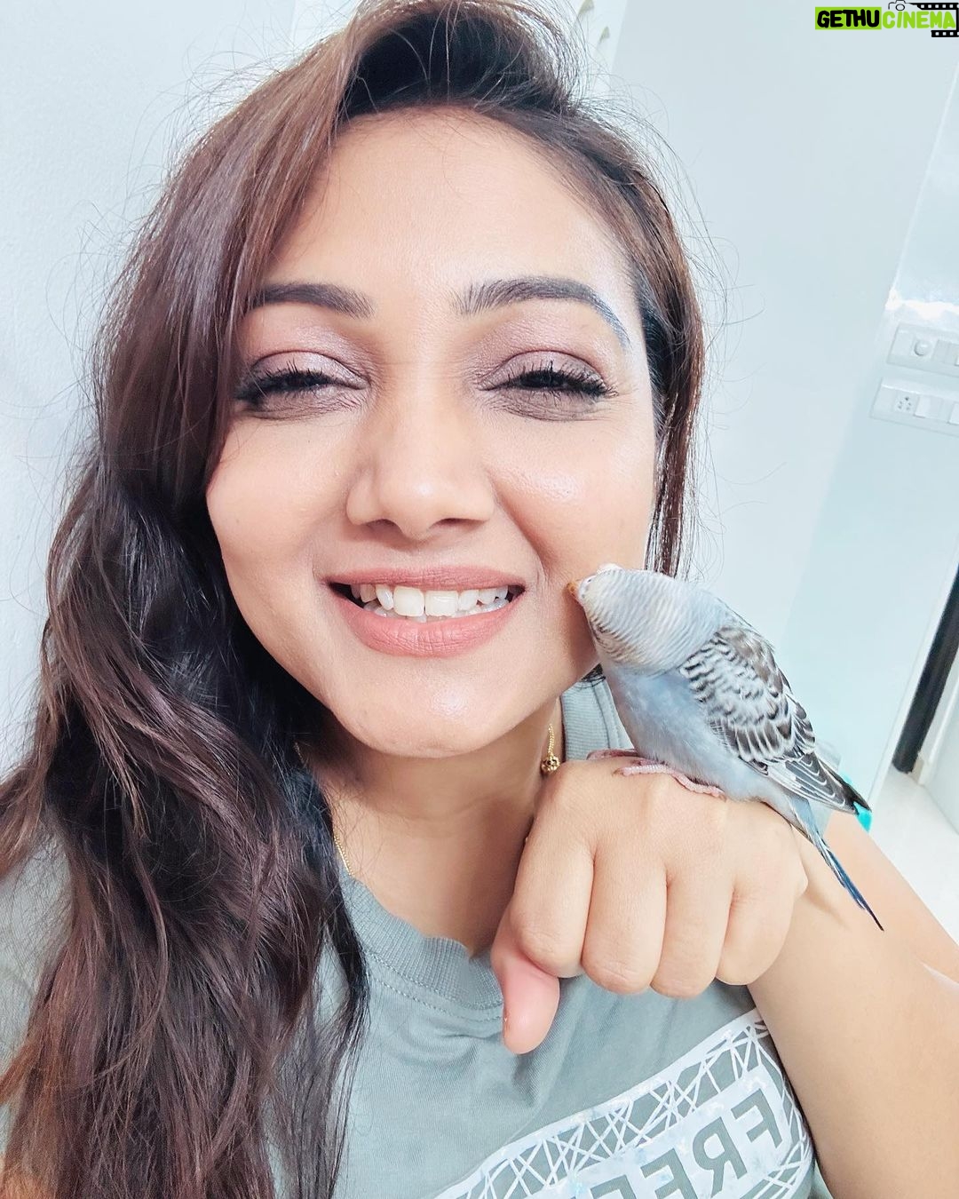 Priyanka Nalkari Instagram - #hisnameram #bird #birdlovers #newguest #sweethome #priyanka #nalkarpriyanka #peace #happygirl #chennai #instagood #instagram #instadaily