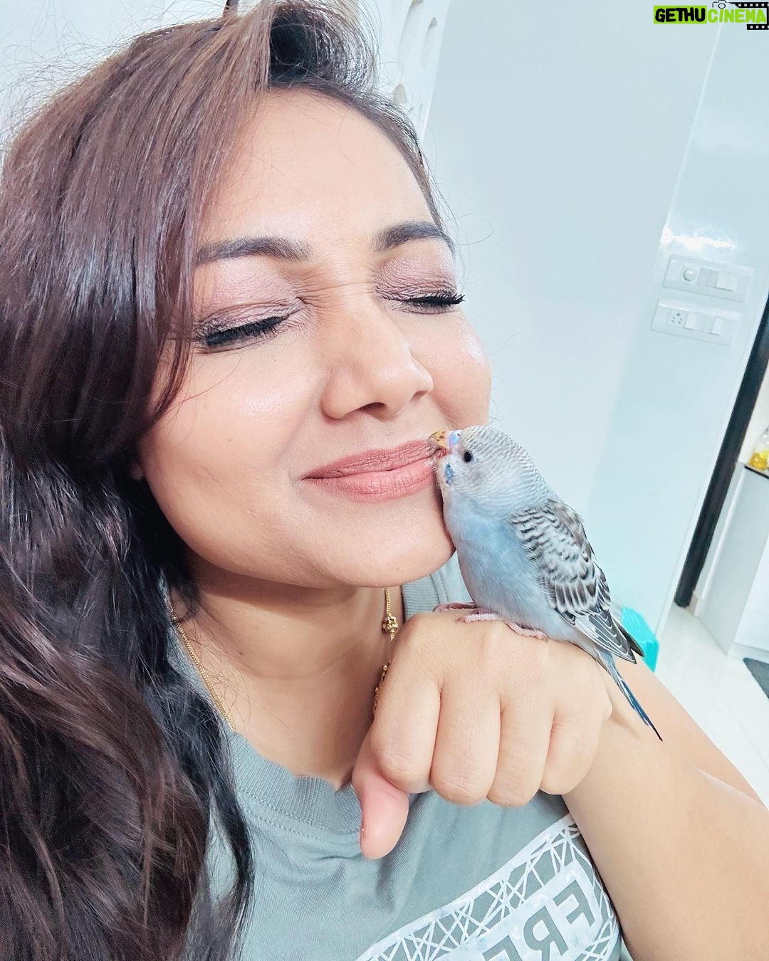 Priyanka Nalkari Instagram - #hisnameram #bird #birdlovers #newguest #sweethome #priyanka #nalkarpriyanka #peace #happygirl #chennai #instagood #instagram #instadaily