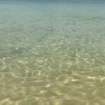 Pupul Bhuyan Instagram - Starfish beach at Phu Quoc, Vietnam 🇻🇳 . . . . . [ starfish, starfish beach, Phu Quoc, Vietnam, island, travel blogger, traveller, globetrotter, Instagram growth] Starfish Beach