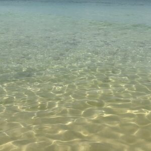 Pupul Bhuyan Instagram - Starfish beach at Phu Quoc, Vietnam 🇻🇳 . . . . . [ starfish, starfish beach, Phu Quoc, Vietnam, island, travel blogger, traveller, globetrotter, Instagram growth] Starfish Beach