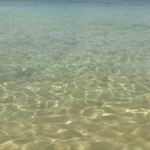 Pupul Bhuyan Instagram - Starfish beach at Phu Quoc, Vietnam 🇻🇳 
.
.
.
.
.
[ starfish, starfish beach, Phu Quoc, Vietnam, island, travel blogger, traveller, globetrotter, Instagram growth]