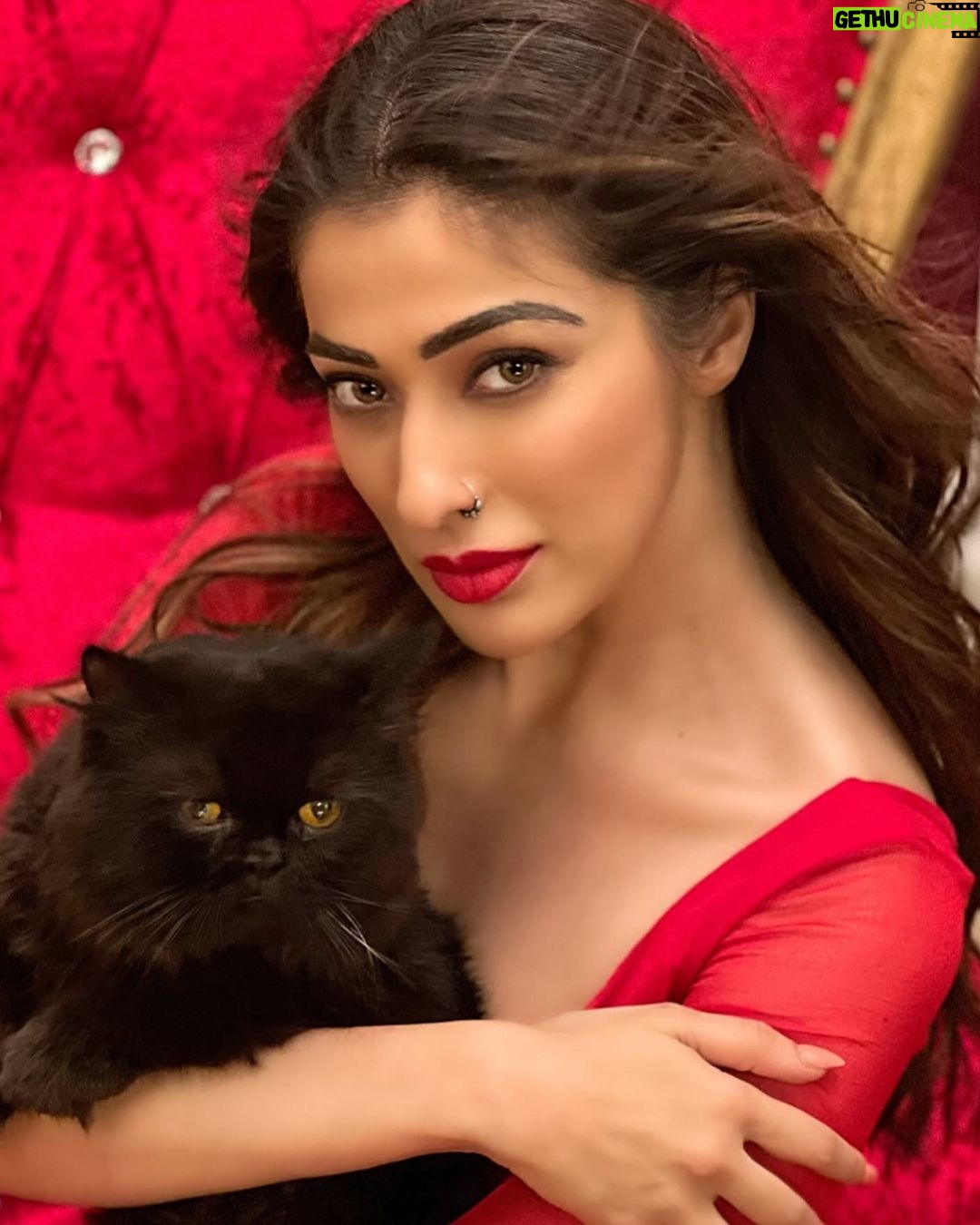 Raai Laxmi Instagram - I see humans but no humanity.🙏❤️🧿