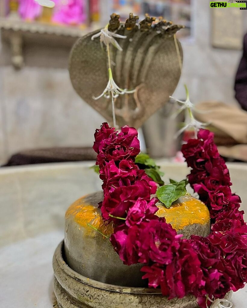 Raashi Khanna Instagram - ॐ नमः शिवाय ♥️ May the divine rhythm of Lord Shiva’s damaru guide you through a harmonious and prosperous New Year. ⭐️