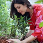 Raashi Khanna Instagram - I grow plants for various reasons: to please my eye, to please my soul, to take a little responsibility, but mostly for the joy that it brings me. Just another birthday; carrying this wonderful tradition forward.. 🌱💚