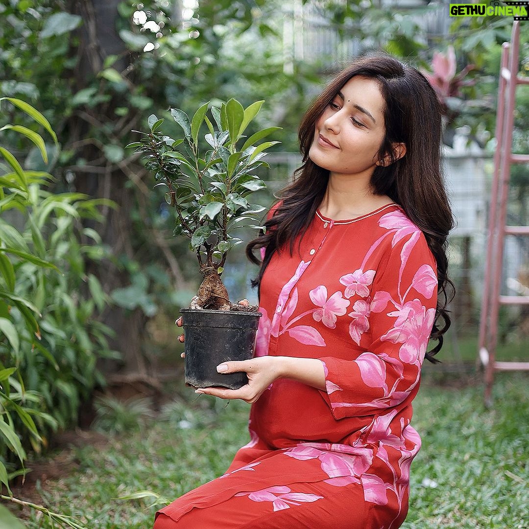 Raashi Khanna Instagram - I grow plants for various reasons: to please my eye, to please my soul, to take a little responsibility, but mostly for the joy that it brings me. Just another birthday; carrying this wonderful tradition forward.. π±π