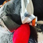 Rachel Nichols Instagram - The guuuuuuurl with the most gifts!
