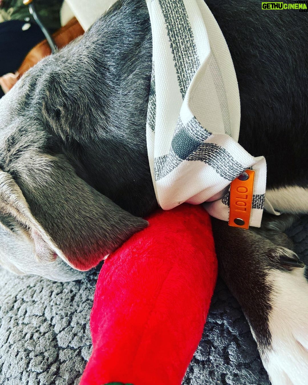 Rachel Nichols Instagram - The guuuuuuurl with the most gifts!