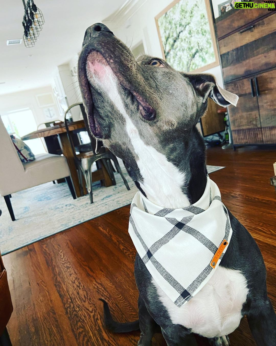 Rachel Nichols Instagram - The guuuuuuurl with the most gifts!