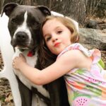 Rachel Nichols Instagram - This is my niece, Harper, and her best friend, Bleu. She snuggles, plays with and climbs all over him. He loves and protects her. He always insists on being by her side. It’s not bad dogs. It’s bad owners. #adoptdontshop #bigscarypitbull Thanks to @hunterjamesnick and @hayleygenevievenichols for letting me post this picture.