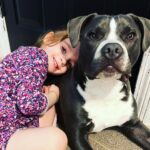 Rachel Nichols Instagram - It doesn’t get cuter than this… @hayleygenevievenichols @hunterjamesnick #BigScaryPitbull