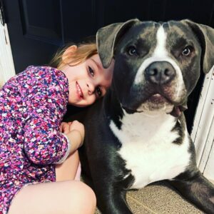 Rachel Nichols Instagram - It doesn’t get cuter than this…
@hayleygenevievenichols 
@hunterjamesnick 
#BigScaryPitbull