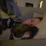 Rachel Nichols Instagram - Playing big spoon on the sofa with my ferocious beast.