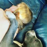 Rachel Nichols Instagram - This is Harper with Bleu. My niece and puppy nephew. They are best friends and my heart melts… @hayleygenevievenichols @hunterjamesnick