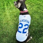 Rachel Nichols Instagram - Put me in, coach - I’m ready to play! ⚾️⚾️⚾️⚾️⚾️⚾️⚾️⚾️⚾️⚾️⚾️⚾️⚾️⚾️⚾️⚾️ GO, DODGERS! #gododgers