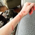 Rachel Nichols Instagram - Cooking; don’t try this at home. But, in my own defense, I did save a roasted chicken from hitting the floor. And it WAS delicious.