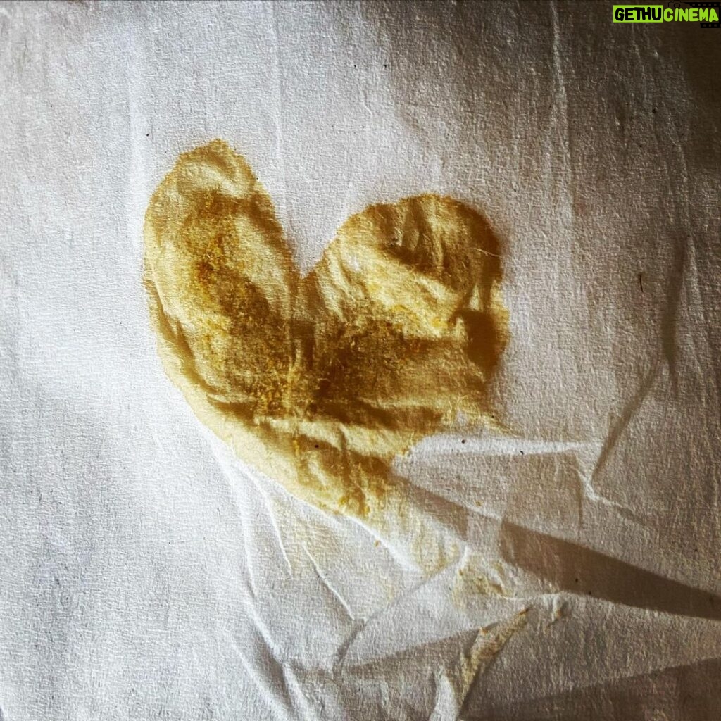Rachel Nichols Instagram - Accidental heart. Brought to you by a countertop and a dribble of soy sauce. Love the little things. Always. Nothing is too small to be enjoyed.