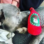 Rachel Nichols Instagram - The guuuuuuurl with the most gifts!