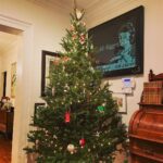 Rachel Nichols Instagram - Clearly, there’s a whole string of lights that decided not to work (it’s obvious), but we wanted to hang the ornaments anyway, so we forged ahead! 🎄.