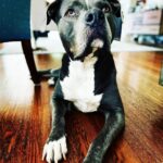 Rachel Nichols Instagram - This beautiful face. This gigantic head. This is my baby.
