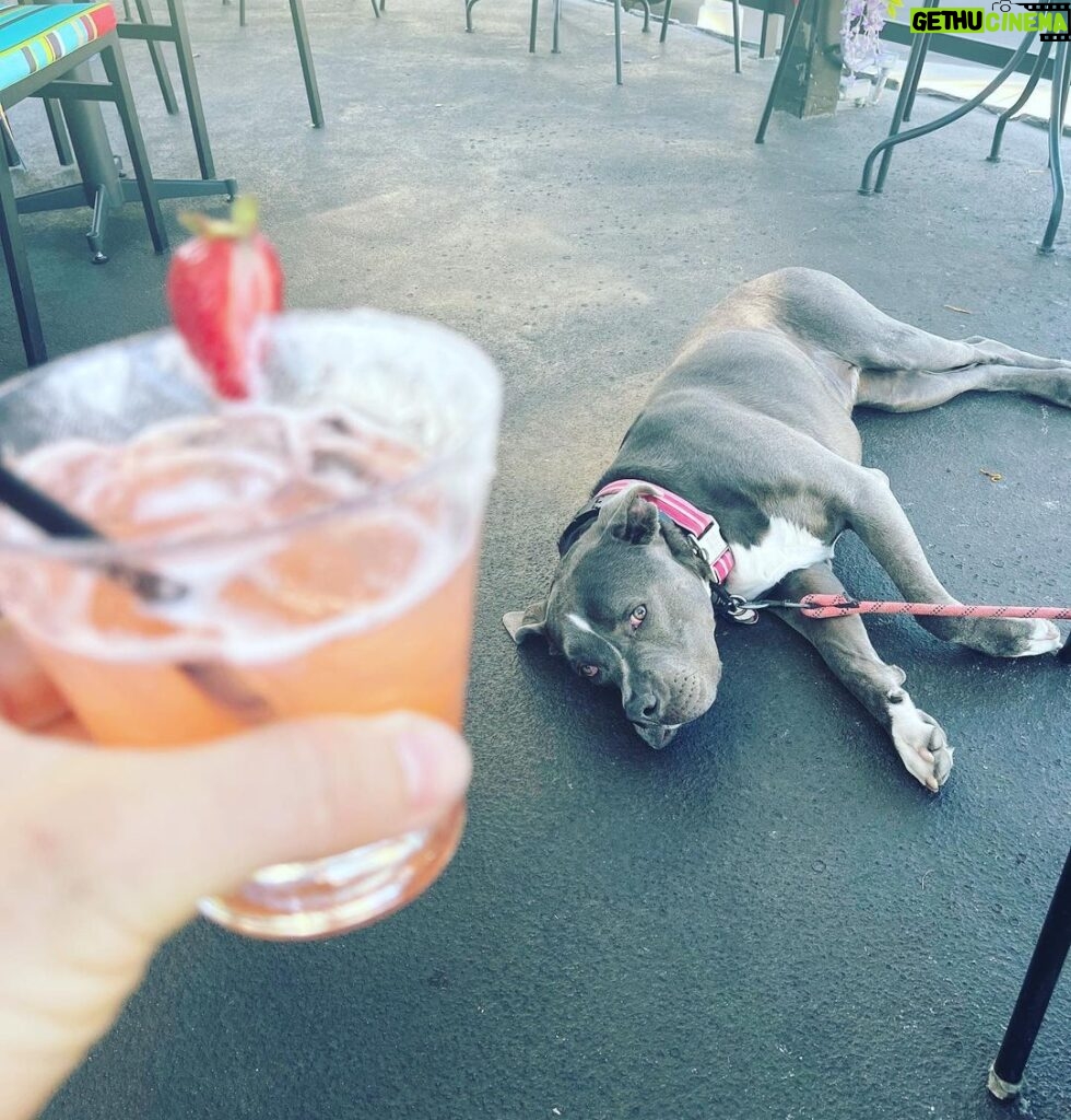 Rachel Nichols Instagram - Three cheers for Friday! Lolo has had a ruff week. 📸: @paulmichaelrahn