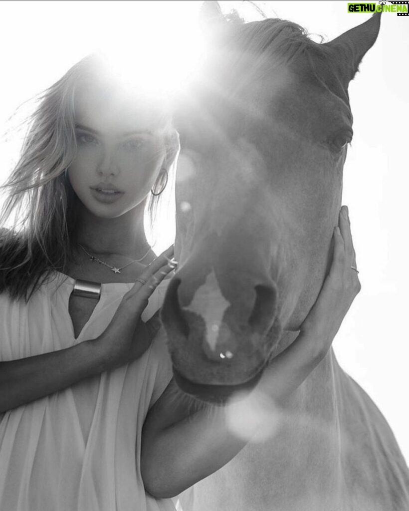 Raelynn Harper Instagram - hold ur horses