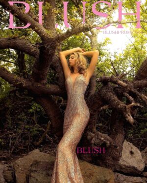 Raelynn Harper Instagram - @blushpromdress 
shot by @studio.joshvoto 
hair @hairvomiit 
makeup @yintomstudio