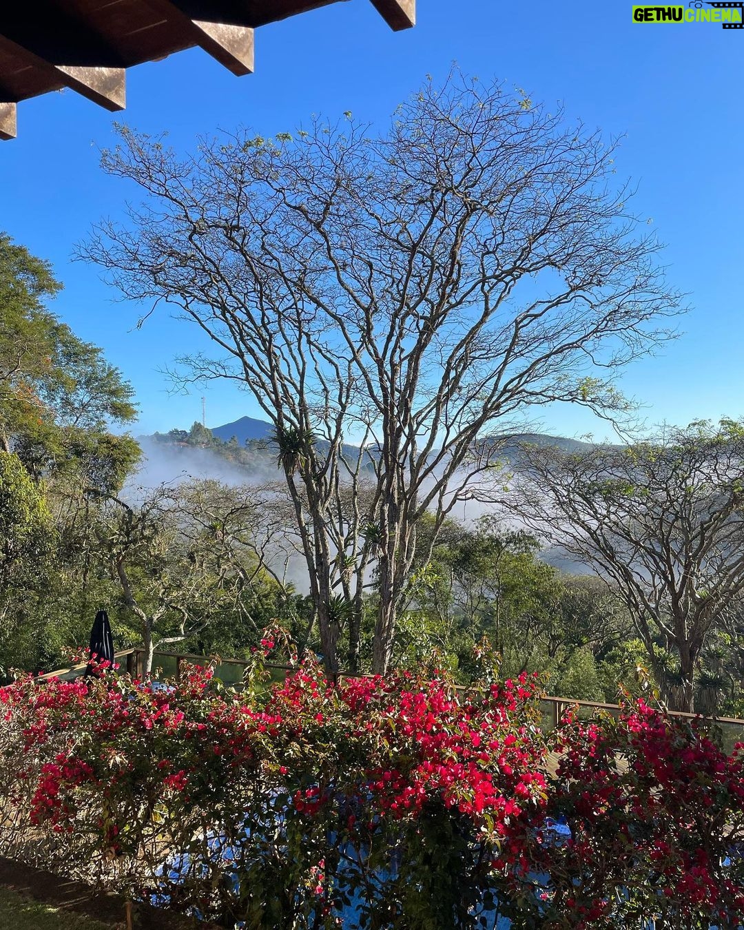 Rafael Vitti Instagram - Bom dia βοΈππΌπβ¨