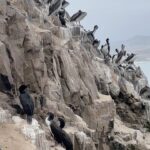 Rafael Vitti Instagram – Peru 🇵🇪☺️ Playa Cerro Azul