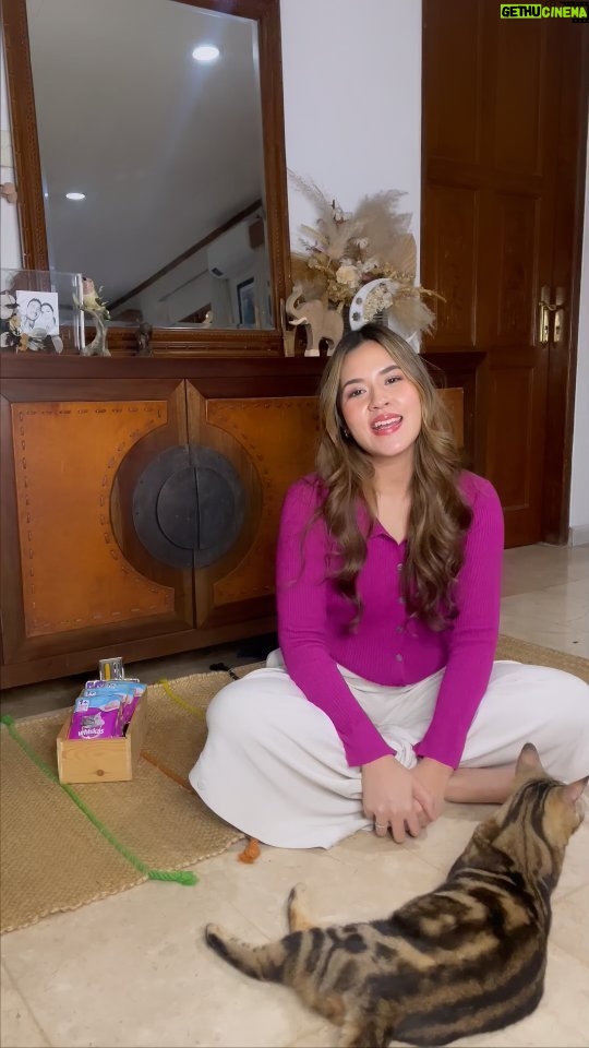 Raisa Andriana Instagram - Siapa yang kangen sama Marble?? 🐈😺 Marble lagi suka banget makan Whiskas Tuna Mackerel. Kucing kalian juga gak siiih? Pas banget nih Whiskas ngajak kalian trip ke Jepang gratis atau kalian bisa dapet hadiah menarik lainnya! Yuk ikutan #WhiskasABCChallengexRaisa caranya gampang banget: 1. Buat video kreatif dengan kucing kalian. Kalian bisa menari atau membuat konten lucu dengan kucing kesayangan dan Whiskas 2. Gunakan lagu ABC Whiskas yang aku nyanyikan 3. Upload di IG Reel kamu, dan tag @whiskas_id 4. Gunakan Hahstag #WhiskasABCChallengexRaisa 5. Dan jangan lupa untuk mengisi form partisipasi yang linknya ada di bio @whiskas_id