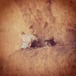 Randy Harrison Instagram – “Fatima, the palace kitten, recognizes she and her sister have a difference of opinion regarding why their mother cries at night”