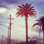 Randy Harrison Instagram - Day 6, 7:00am