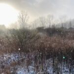 Randy Harrison Instagram - Well, here we go. Tundra adventure time with @baton1818 Halcottsville, New York
