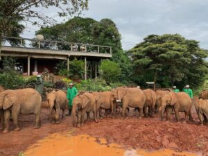 Raquelle Stevens Instagram - @sheldricktrust 🤍