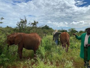 Raquelle Stevens Instagram - @sheldricktrust 🤍