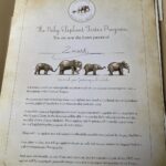 Raquelle Stevens Instagram – Loved getting to see the elephants @sheldricktrust. The Sheldrick Trust is dedicated to the protection of wildlife and the preservation of habitats in East Africa. The trust was started more than 40 years ago and is best known for its Orphans’ Project. It was the first elephant orphan rescue and rehabilitation program in the world. And I got to adopt an elephant named Ziwadi!! 🤗🐘🤍 Kenya, Africa