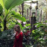 Raquelle Stevens Instagram - 🌹 Mexico